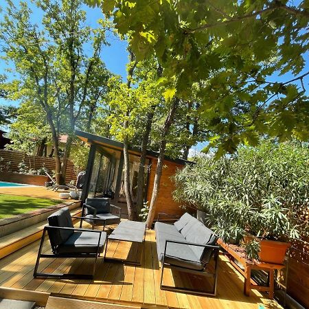 Pine-Wood Resort Balatonalmádi المظهر الخارجي الصورة