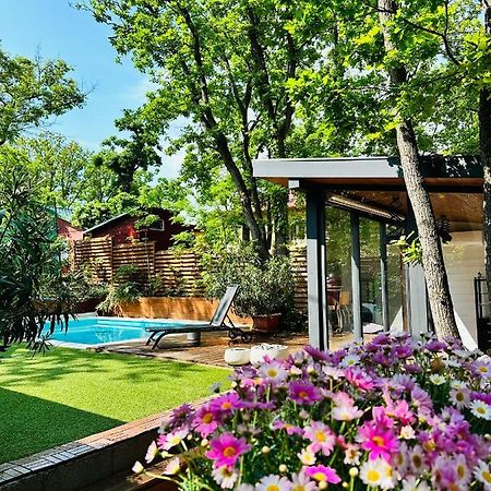 Pine-Wood Resort Balatonalmádi المظهر الخارجي الصورة