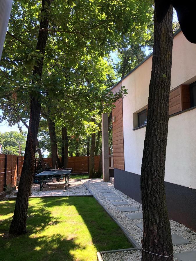 Pine-Wood Resort Balatonalmádi المظهر الخارجي الصورة