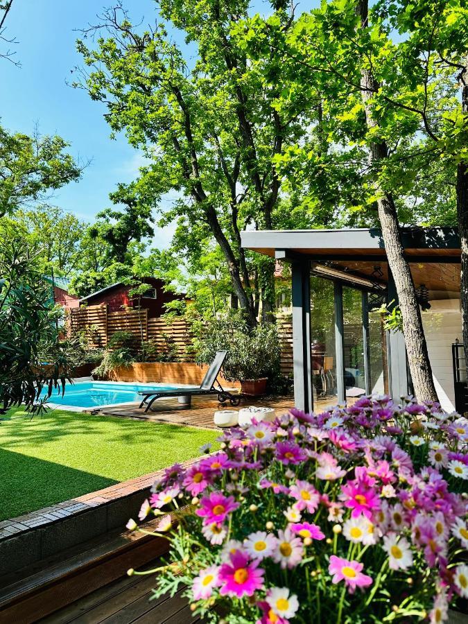 Pine-Wood Resort Balatonalmádi المظهر الخارجي الصورة